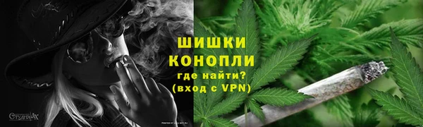 шишки Алексеевка