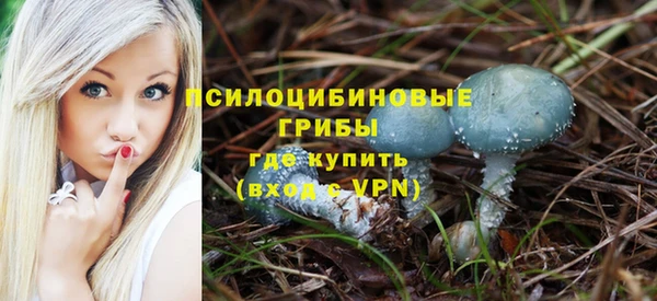шишки Алексеевка