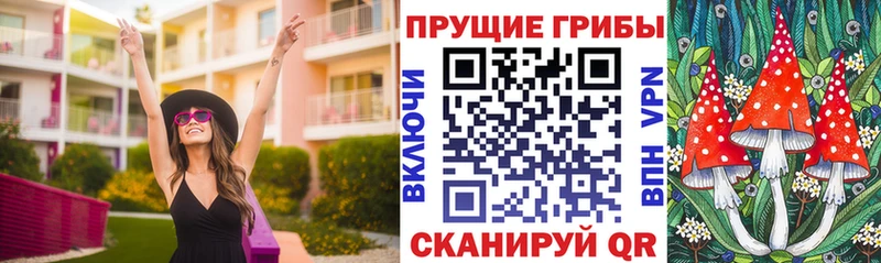 гидра ссылка  Большой Камень  Галлюциногенные грибы ЛСД 