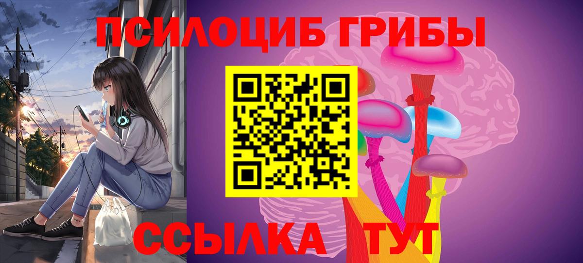 где купить наркоту  Псилоцибиновые грибы ЛСД  Вход с VPN  Большой Камень  Галлюциногенные грибы Magic Shrooms 